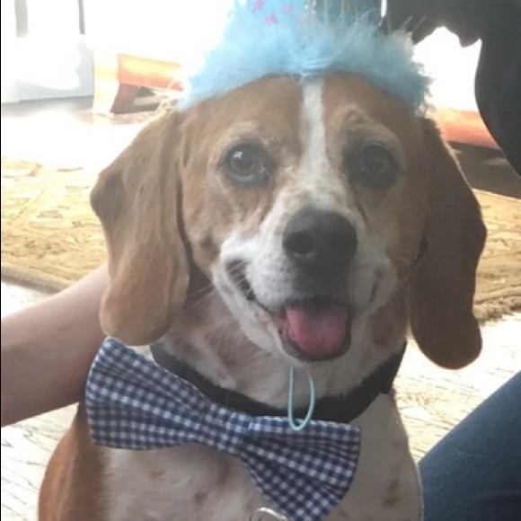 Meet your Posher, Krista - Picture 1 of 1